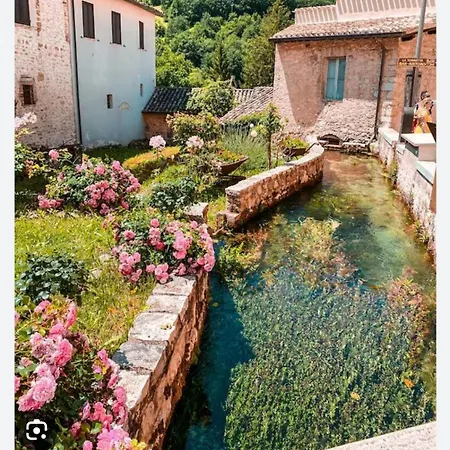 Affitta Via Piave Foligno